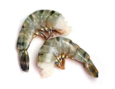 Black Tiger prawns, raw, head off, tail on shell on 21/25, glaz.