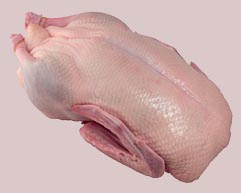 Duck whole 1.6-2.9kg frozen IWP wo giblets